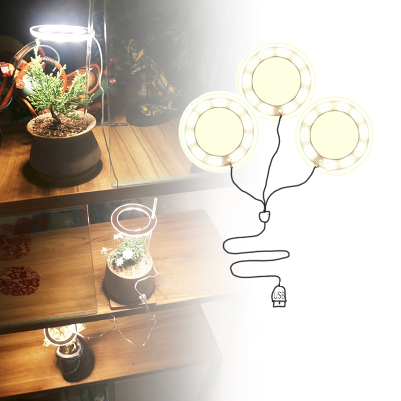 Angel Three Ring Grow Light DC5V USB Phyto lamp For Plants Led Full Spectrum Lamp For Indoor Plant Seedlings Home Flower Succulent