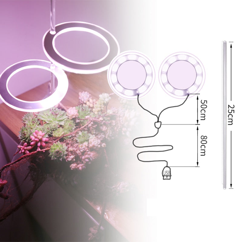 Angel Three Ring Grow Light DC5V USB Phyto lamp For Plants Led Full Spectrum Lamp For Indoor Plant Seedlings Home Flower Succulent
