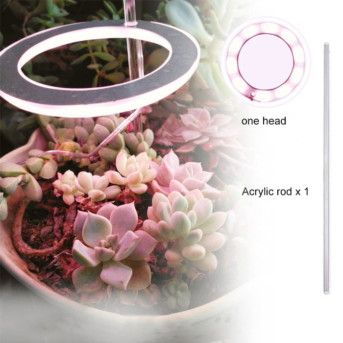 Angel Three Ring Grow Light DC5V USB Phyto lamp For Plants Led Full Spectrum Lamp For Indoor Plant Seedlings Home Flower Succulent