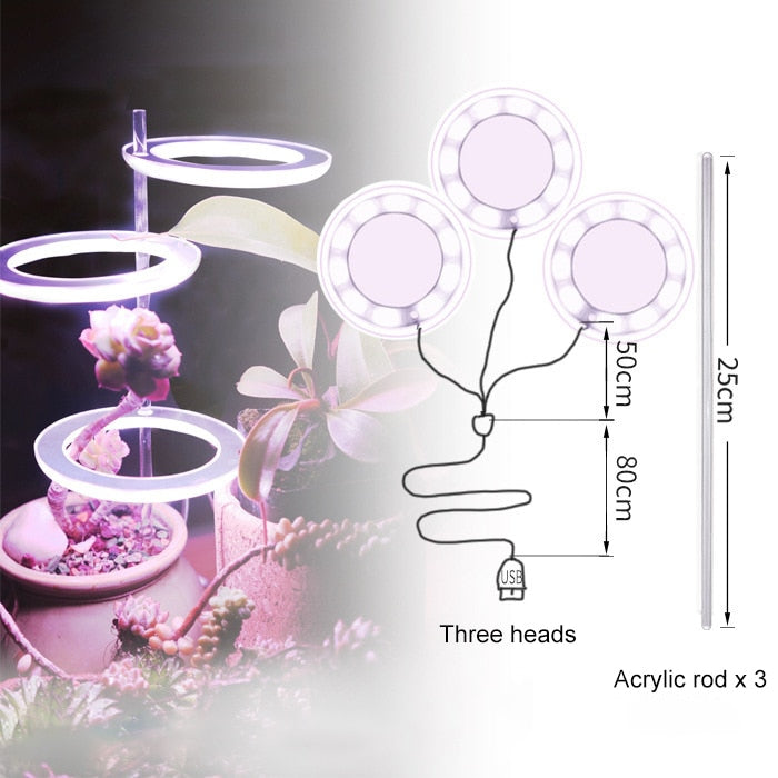 Angel Three Ring Grow Light DC5V USB Phyto lamp For Plants Led Full Spectrum Lamp For Indoor Plant Seedlings Home Flower Succulent