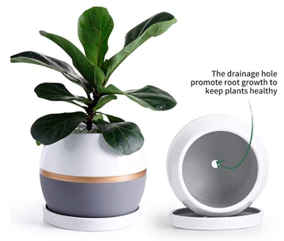 Planter Pots Indoor - 7.4 Inch Cylinder Ceramic Flowerpot with Drainage Hole & Saucer for Indoor Plants Flower Succulent Modern Home Decor(Plant NOT Included)