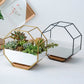 Wall Mount Frame Set Nordic Style Octagonal Succulent Flower Pot Table Display Plants Pot