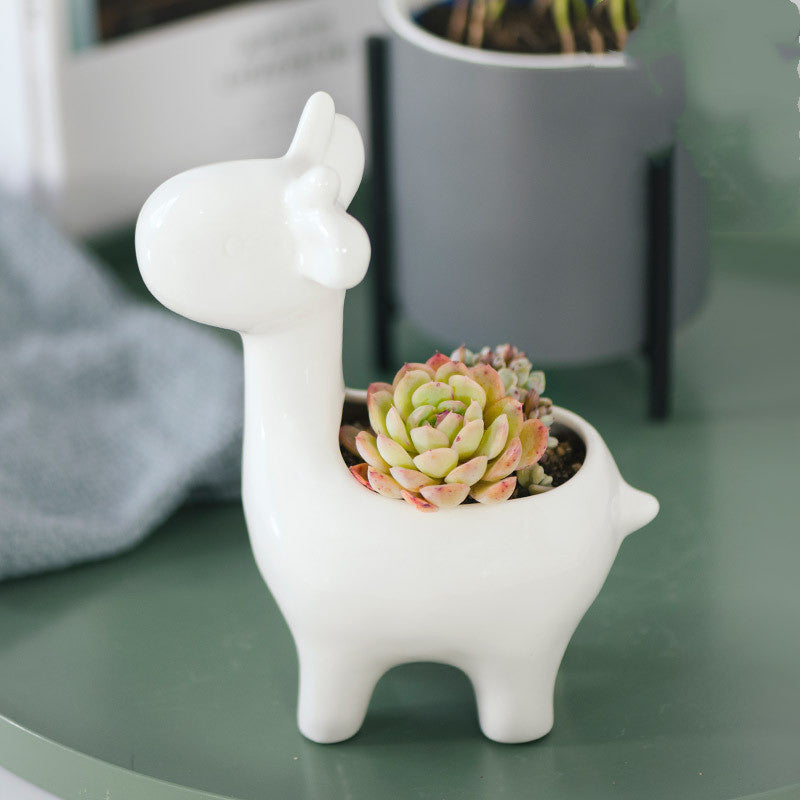 Succulent ceramic flowerpot
