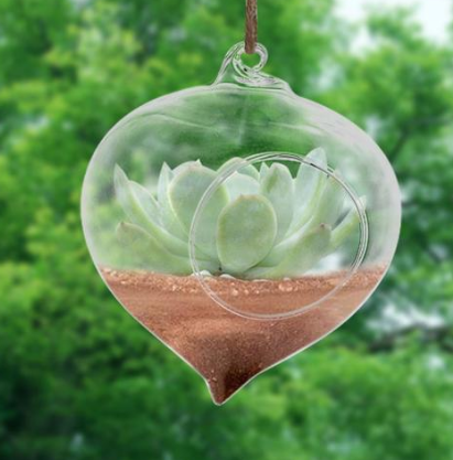 Wall Hanging Glass Plant Pot