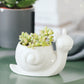 Succulent ceramic flowerpot