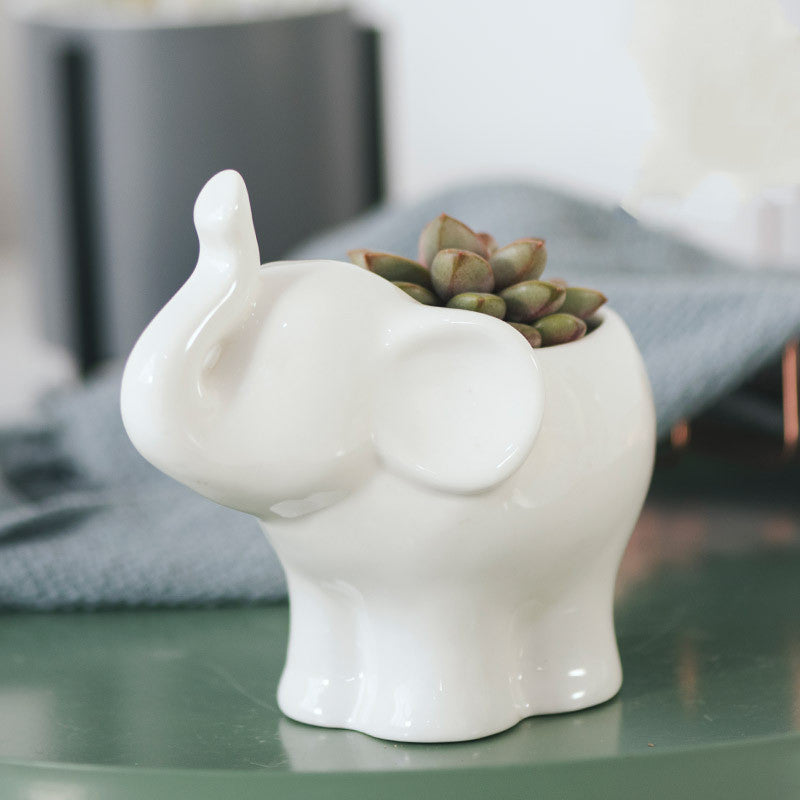 Succulent ceramic flowerpot