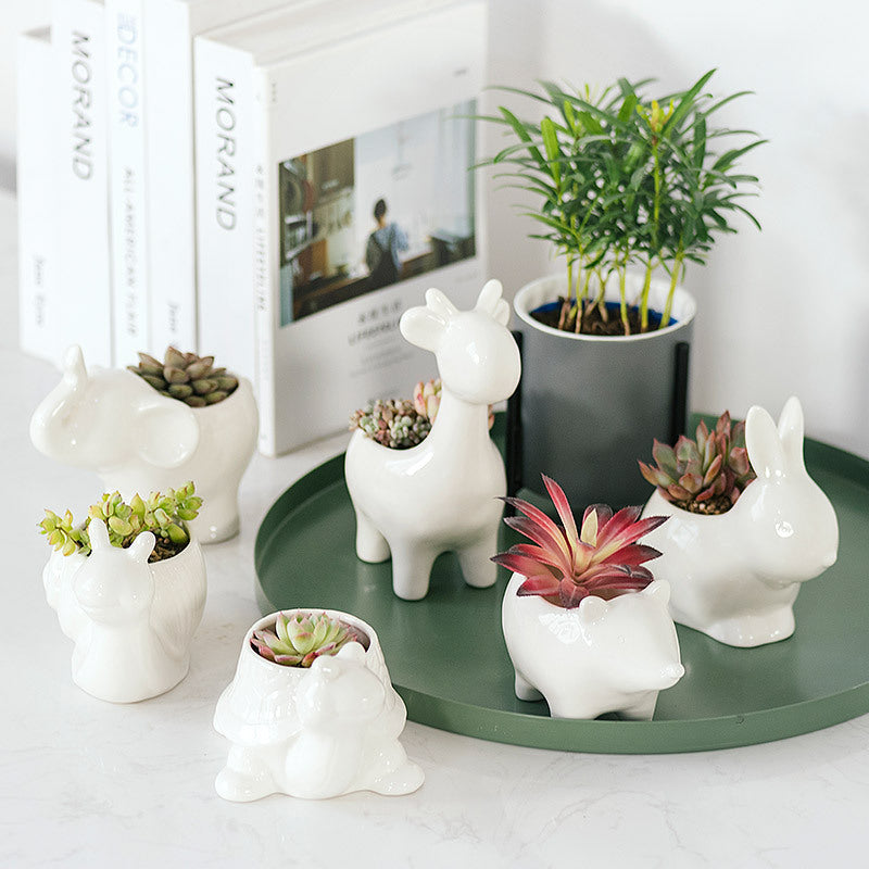 Succulent ceramic flowerpot