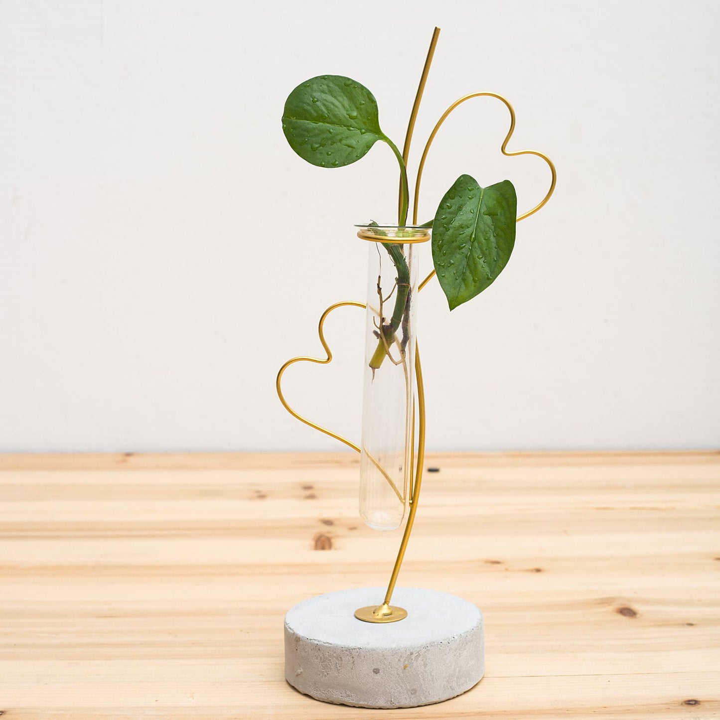 Home Decoration Accessories Modern Flower Vases For Homes Transparent Hydroponic Glass Vase Living Room Decoration Terrarium