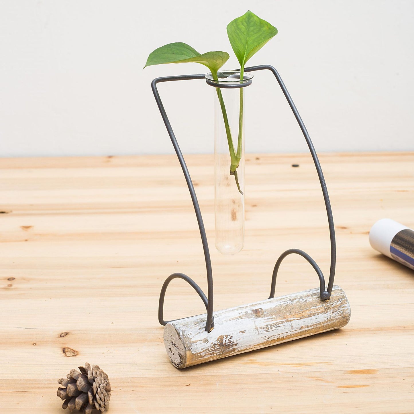 Home Decoration Accessories Modern Flower Vases For Homes Transparent Hydroponic Glass Vase Living Room Decoration Terrarium