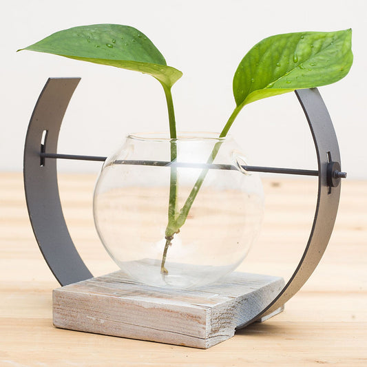 Home Decoration Accessories Modern Flower Vases For Homes Transparent Hydroponic Glass Vase Living Room Decoration Terrarium