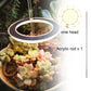 Angel Three Ring Grow Light DC5V USB Phyto lamp For Plants Led Full Spectrum Lamp For Indoor Plant Seedlings Home Flower Succulent