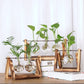Terrarium Creative Hydroponic Plant Transparent Vase Wooden Frame vase decoratio Glass Tabletop Plant Bonsai Decor flower vase