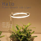 Angel Three Ring Grow Light DC5V USB Phyto lamp For Plants Led Full Spectrum Lamp For Indoor Plant Seedlings Home Flower Succulent