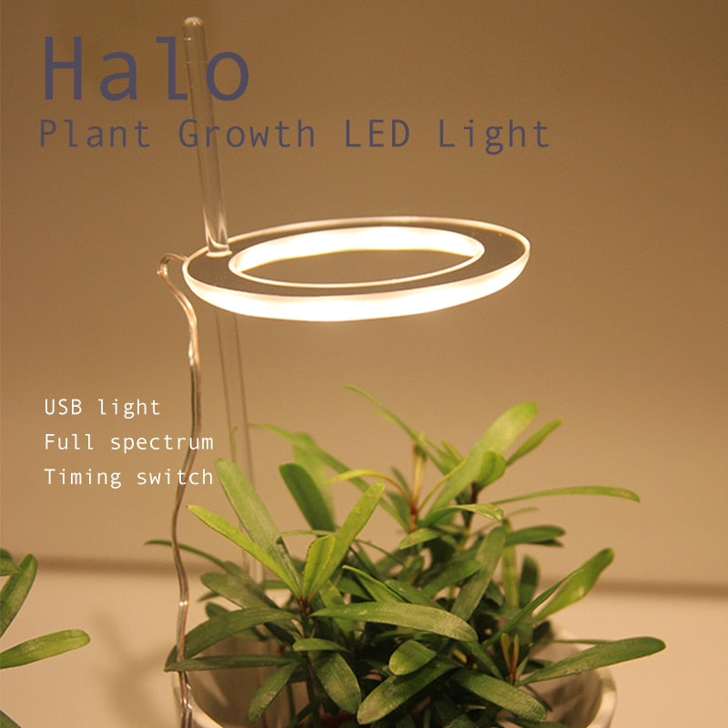Angel Three Ring Grow Light DC5V USB Phyto lamp For Plants Led Full Spectrum Lamp For Indoor Plant Seedlings Home Flower Succulent