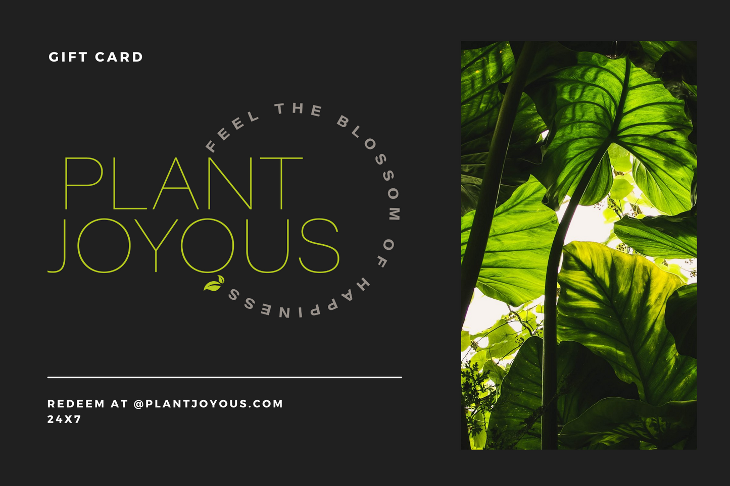 Plant Joyous Gift Card