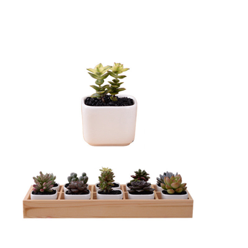 Succulent Wooden Box Simple Flower Pot Set