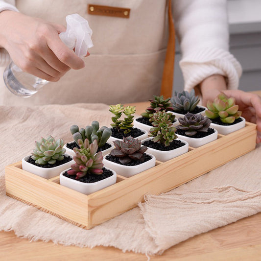Succulent Wooden Box Simple Flower Pot Set