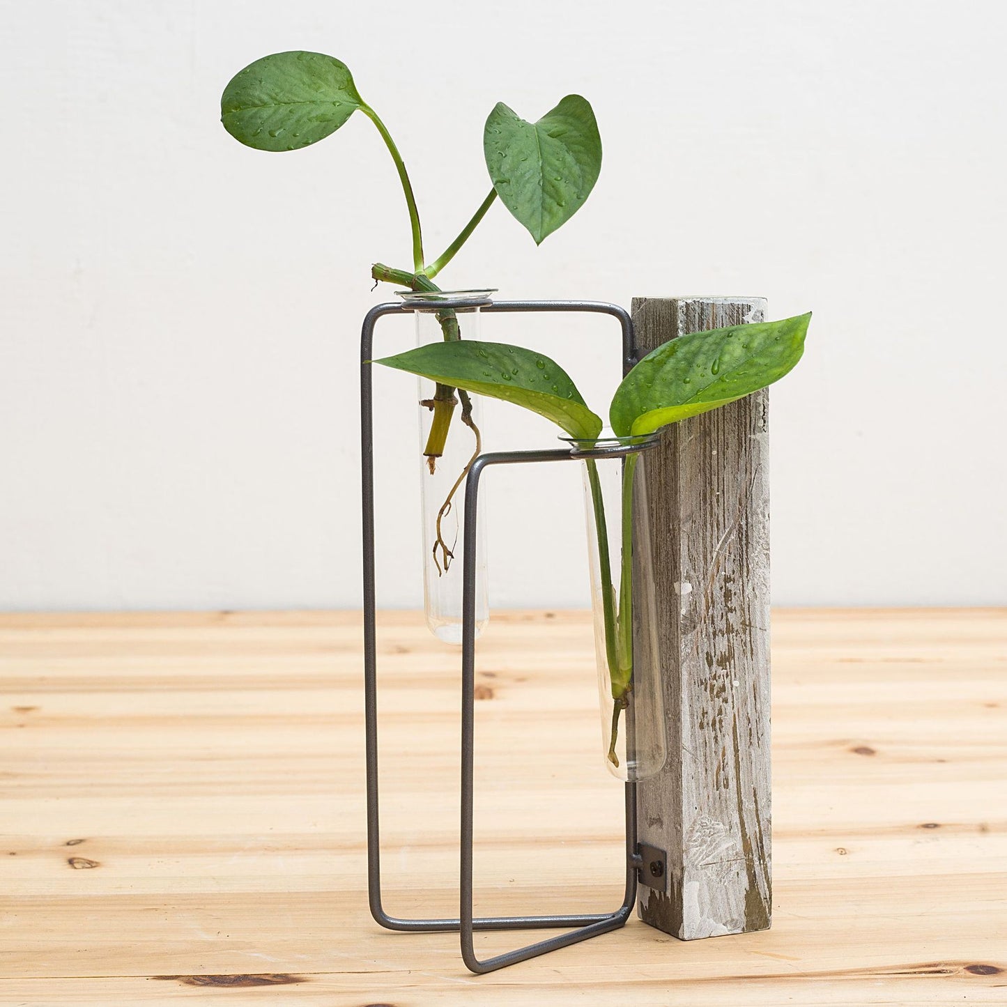 Home Decoration Accessories Modern Flower Vases For Homes Transparent Hydroponic Glass Vase Living Room Decoration Terrarium