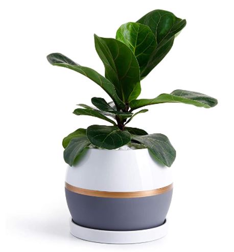 Planter Pots Indoor - 7.4 Inch Cylinder Ceramic Flowerpot with Drainage Hole & Saucer for Indoor Plants Flower Succulent Modern Home Decor(Plant NOT Included)