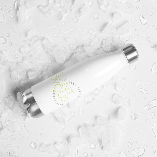 Stainless Steel Water Bottle